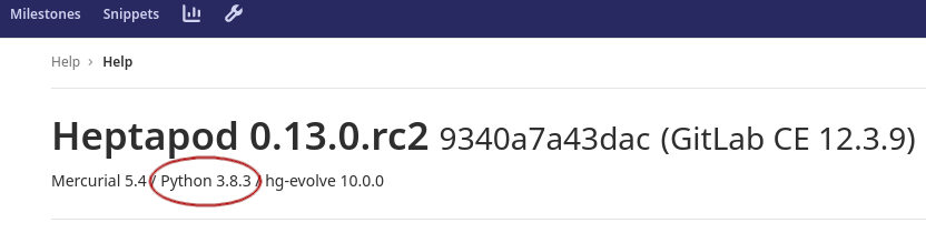 Detailed version information in Heptapod 0.13.0rc2 help page