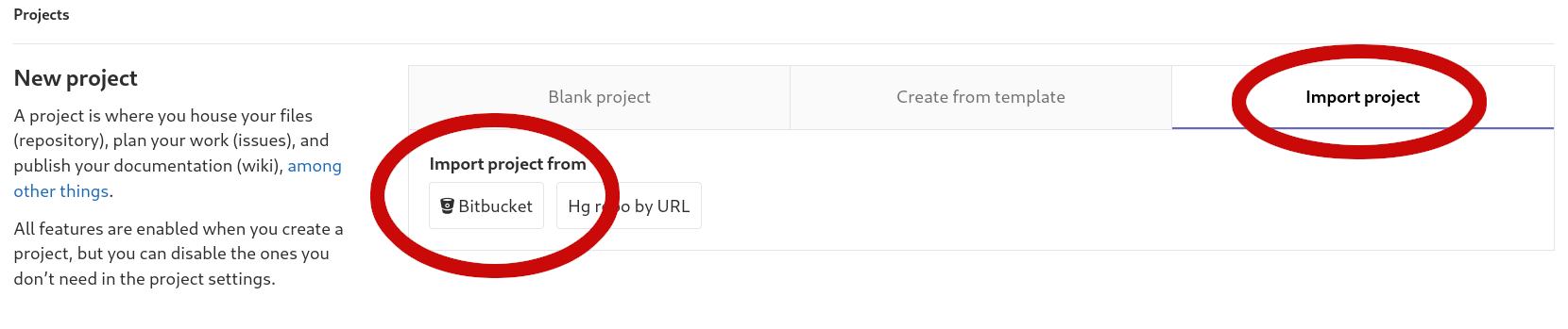 Select "Bitbucket" in the "Import Project" tab.